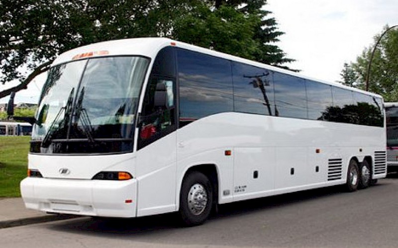 60 seater bus in chandigarh